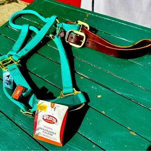 Horse Breakaway Halter Large Horse Size